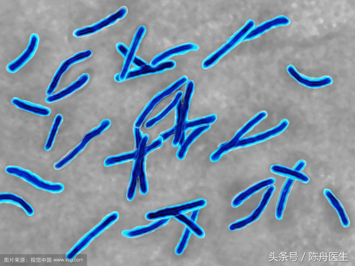 一文读懂中医,一文读懂房颤