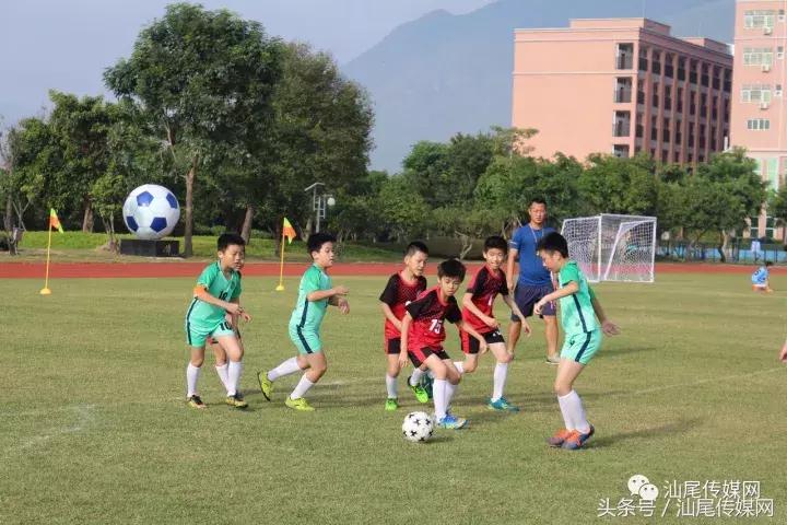 德成中英文学校第二届“德成杯”正式开赛