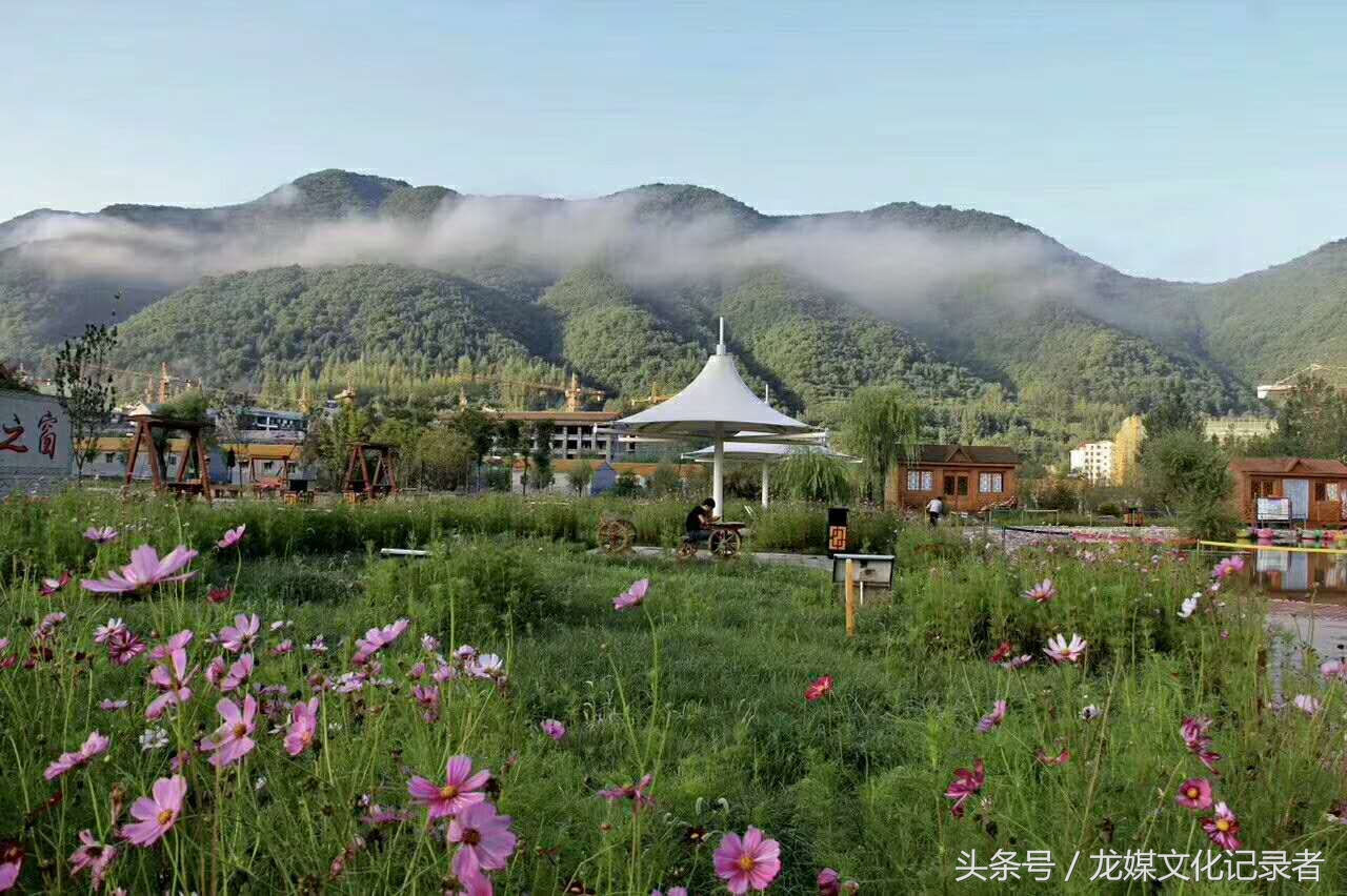 陕西黄龙绿皮核桃,延安市黄龙核桃