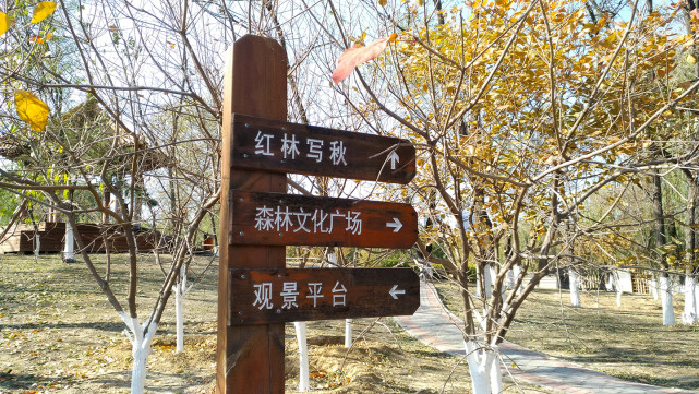 打令V10S手机评测，真的不一样！