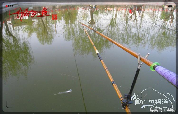 朋友相聚钓罗非,好友们相约一起钓鱼视频