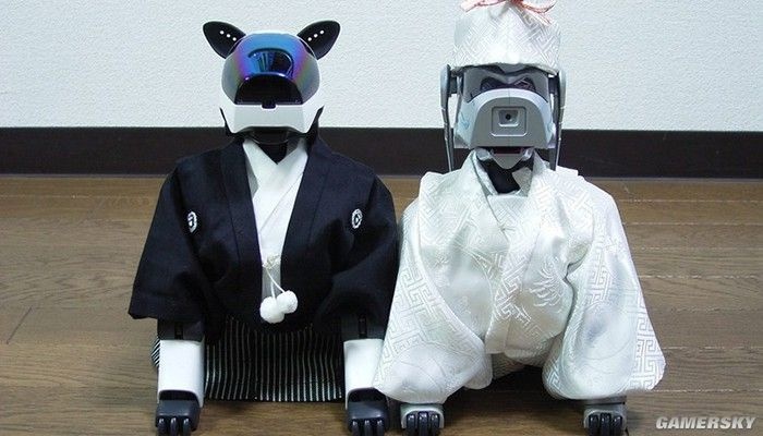 比起在座的诸位它才是一条真“索狗”