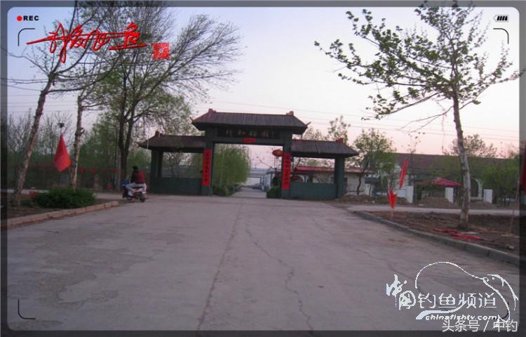 朋友相聚钓罗非,好友们相约一起钓鱼视频