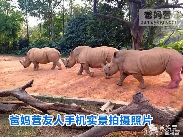 江浙沪十佳亲子酒店,适合亲子酒店推荐