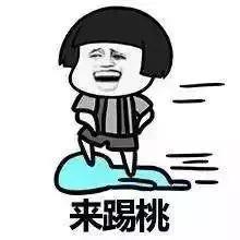 潮汕土话,潮汕土话是什么