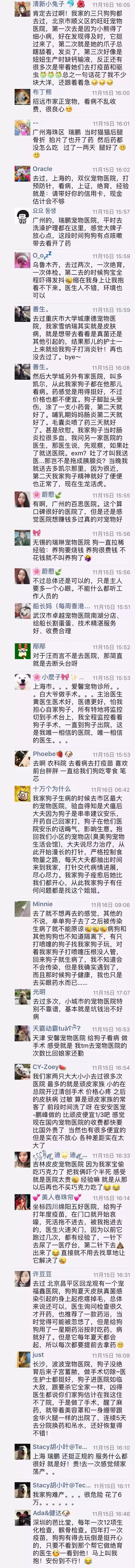 中国为什么没有正规的宠物医院,国内靠谱的宠物医院