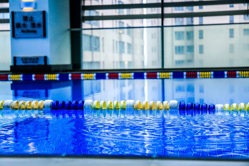 吃货福利顺德豉油鸡,吃货福利餐馆必备