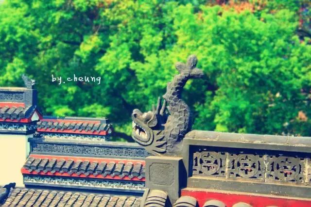 北京到香港高铁深度体验,北京到香港高铁什么时候开通