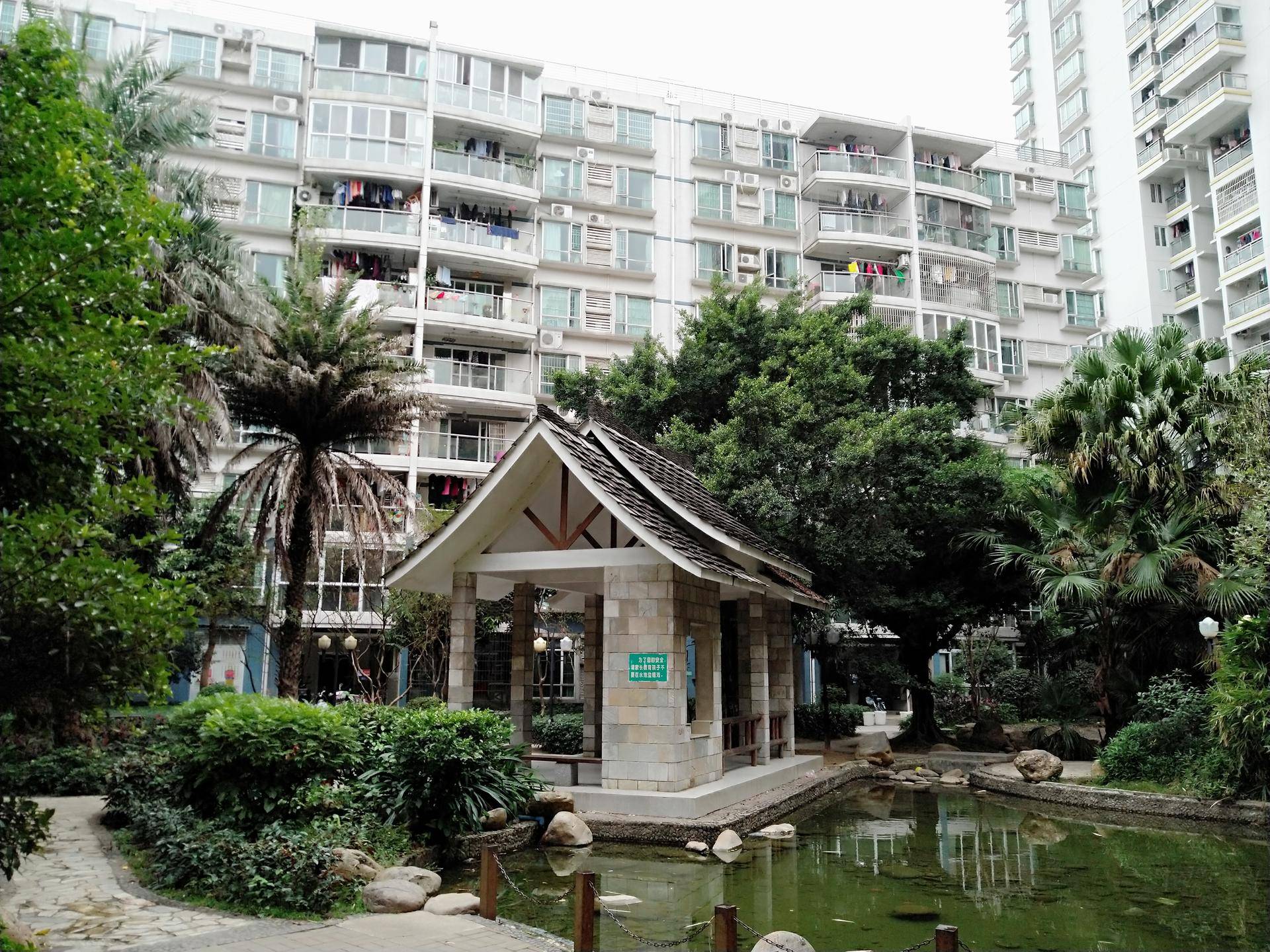 锤子坚果pro2s测评照片,坚果pro2s拍照小白测评