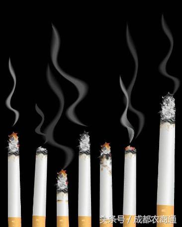 一招分辨假烟,如何分辨好烟