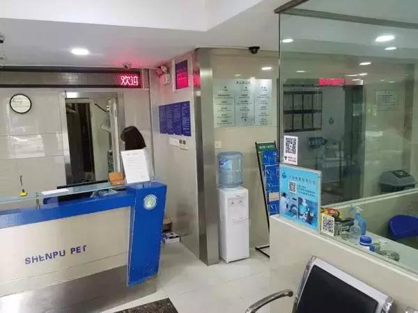 中国为什么没有正规的宠物医院,国内靠谱的宠物医院
