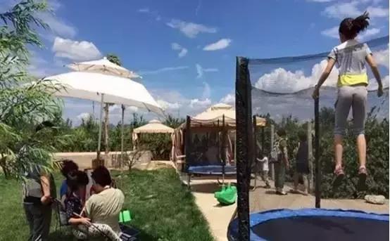 如果你的农庄是凤姐，如何把它打造成范冰冰？（附农庄改造案例）