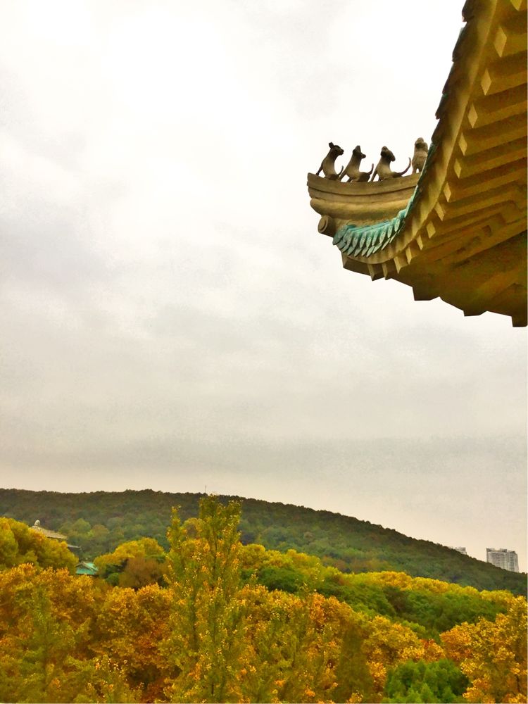 十大最美校园深圳大学,探访最美大学武汉大学