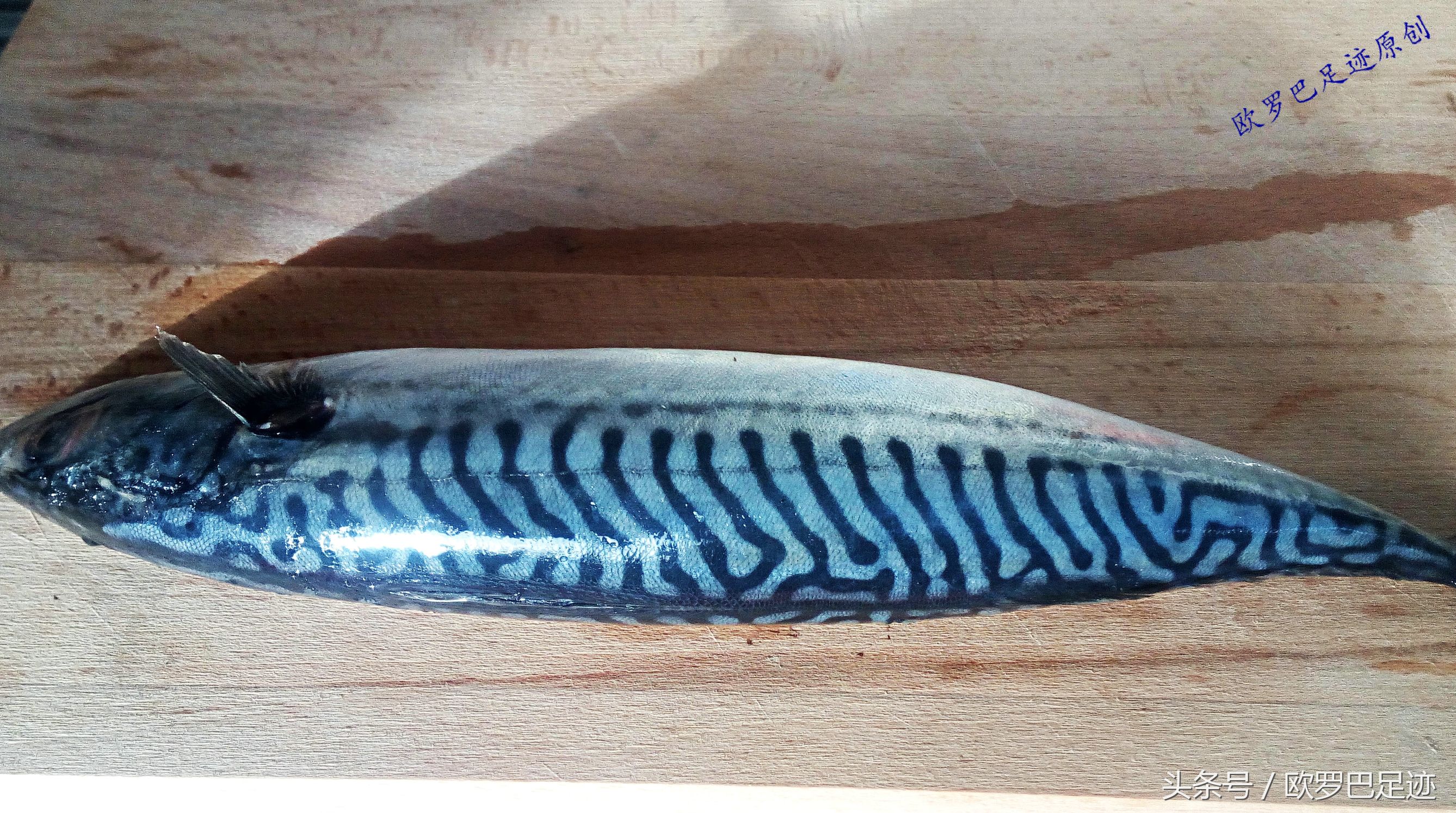 中国厨子邂逅欧洲小镇海鲜市，不认识的鱼炖起来也不手软