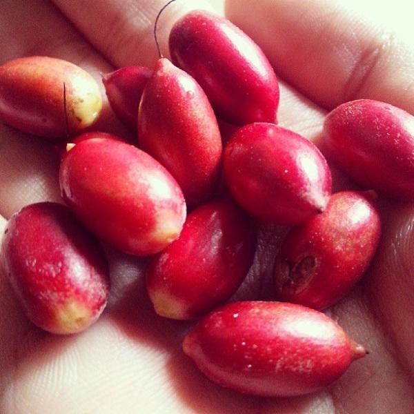 阿刚美食记,阿刚美食家常菜