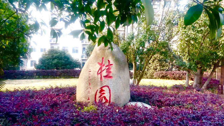 十大最美校园深圳大学,探访最美大学武汉大学