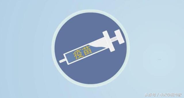 怀孕母猪肺炎怎么治疗,怀孕肺炎支原体感染