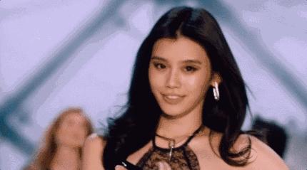 维多利亚的秘密维密秀,维密秀的惊人秘密