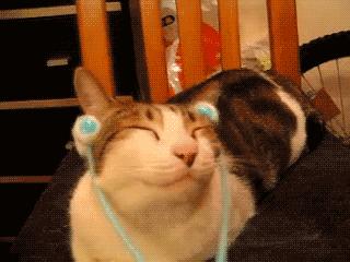 夜间肌肤保养小妙招,晚间护肤怎么保养肌肤