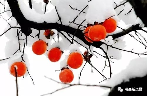 白里透红美颜,白里透红娇颜