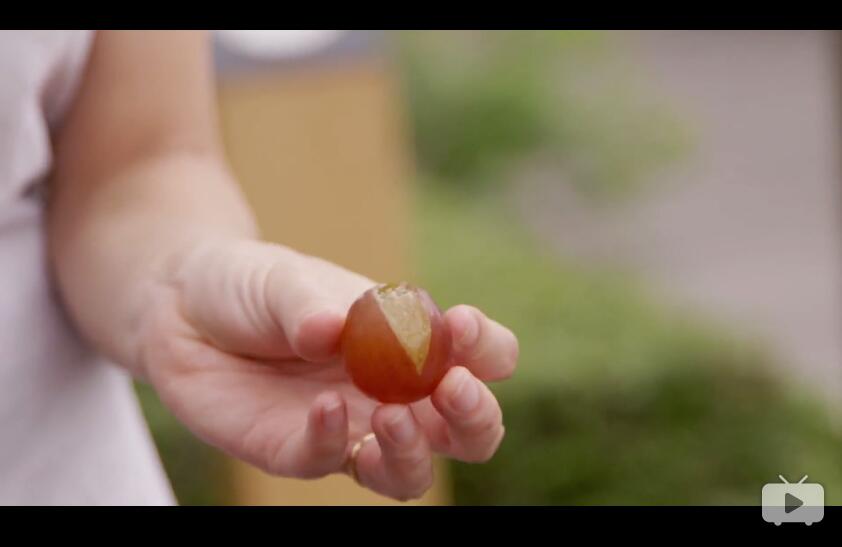 美国人在日本吃了串13000元人民币的葡萄，中国人表示看了心疼