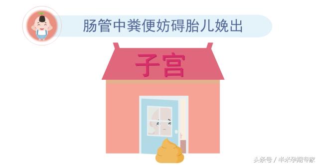 怀孕晚期便秘严重拉不出来怎么办,孕晚期便秘吃什么药可以快速排便