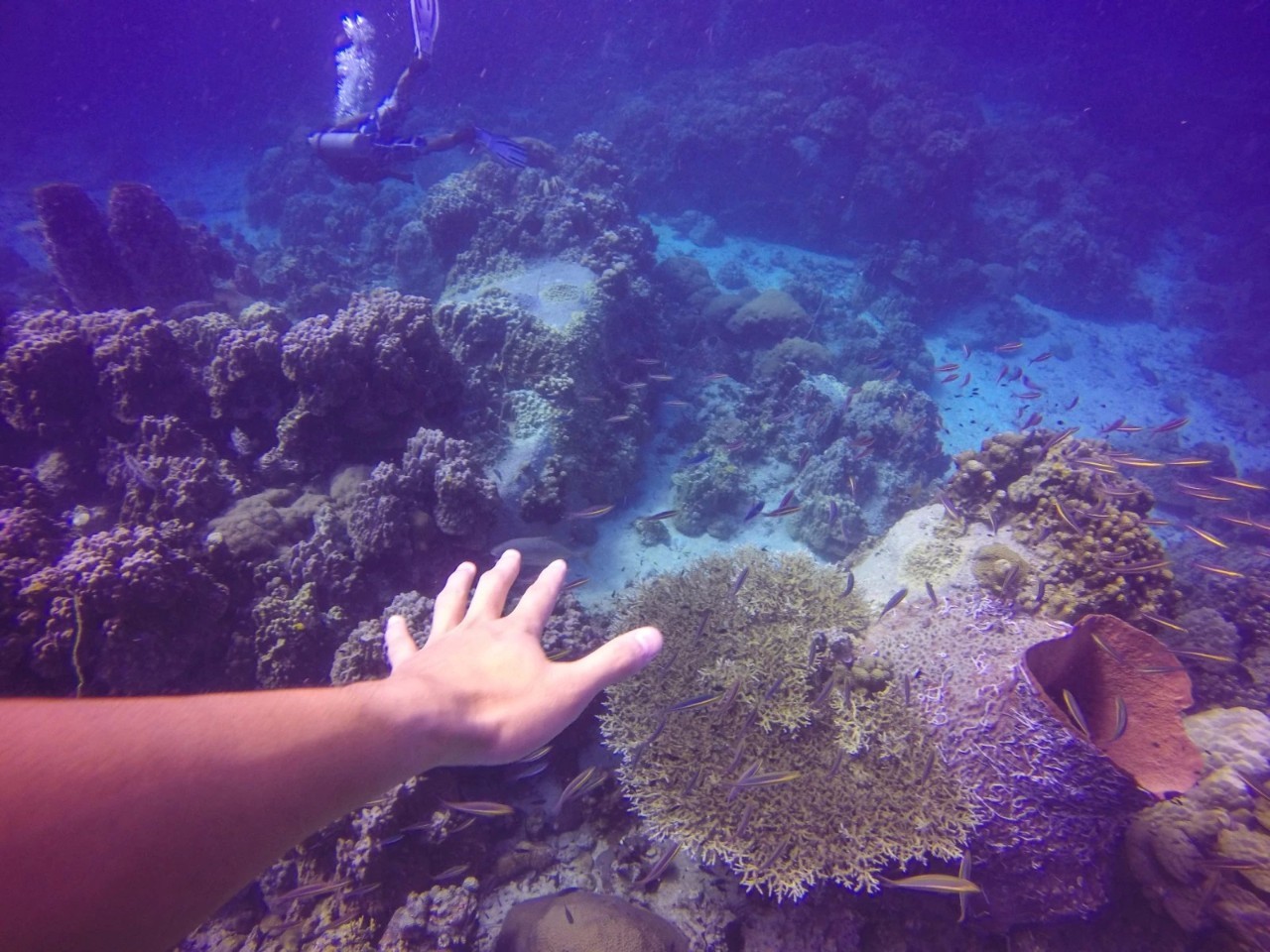 潜水零基础入门教程 (10个简单又可能被忽略的潜水技巧)