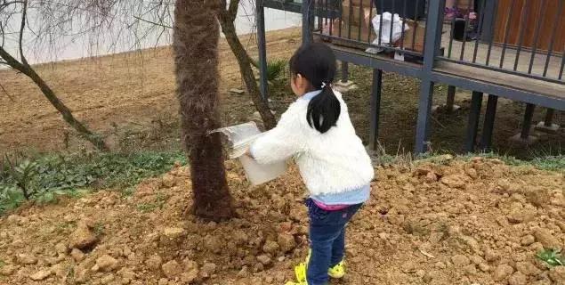 重庆高山避暑垂钓,周末自驾烧烤好去处