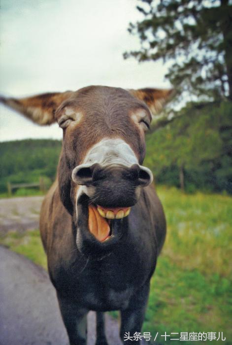 笑点低的人性格怎么样,笑点低的人怎么回事