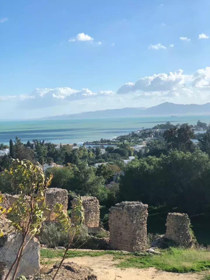 西天取景,西天取景挣大钱