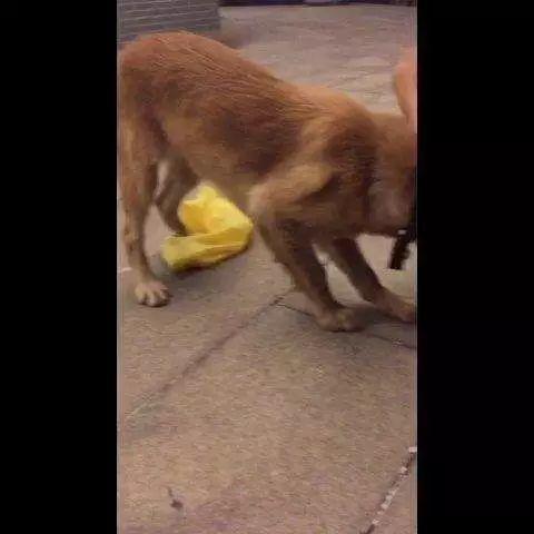 你以为我在逗你玩啊怎么幽默回复,你以为我在逗你玩吗怎么回答