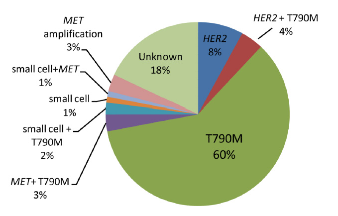 肺癌药易瑞沙,肺癌靶向药易瑞沙价格
