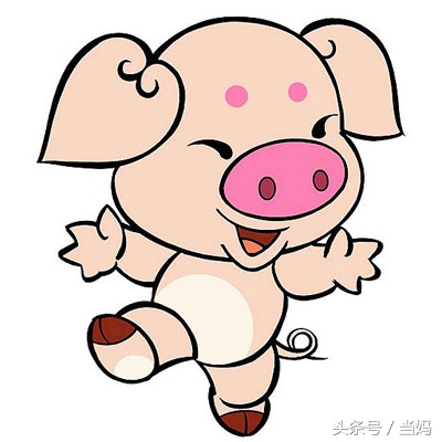 麦玲玲2020年生鼠宝宝,麦玲玲2022生鼠运程