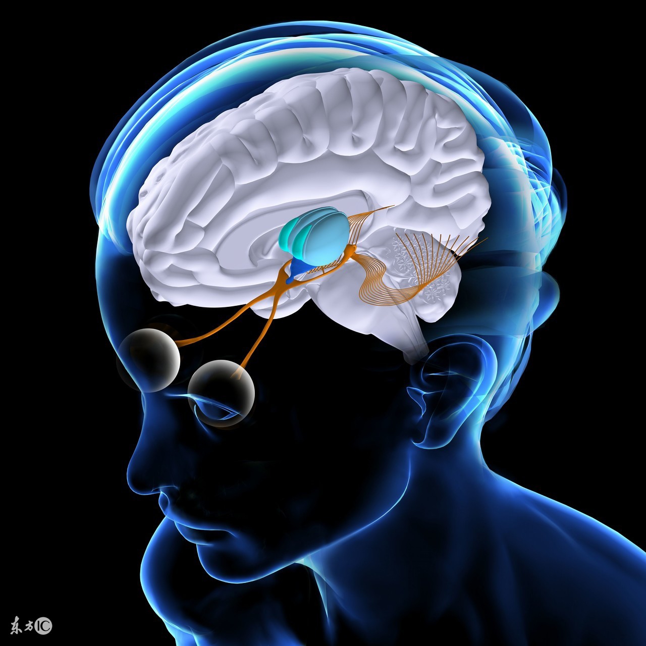 退热有哪些方法,退热有哪些物理降温方法