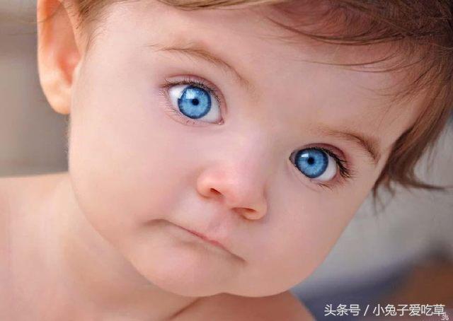 吃哪几种食物可以保护眼睛,保护眼睛多吃哪些食物有帮助