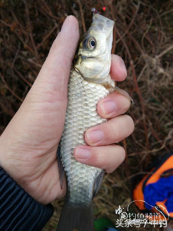 携好友出征私留地天虽冷鱼情很给力