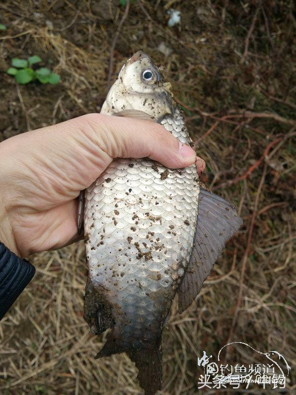 携好友出征私留地天虽冷鱼情很给力