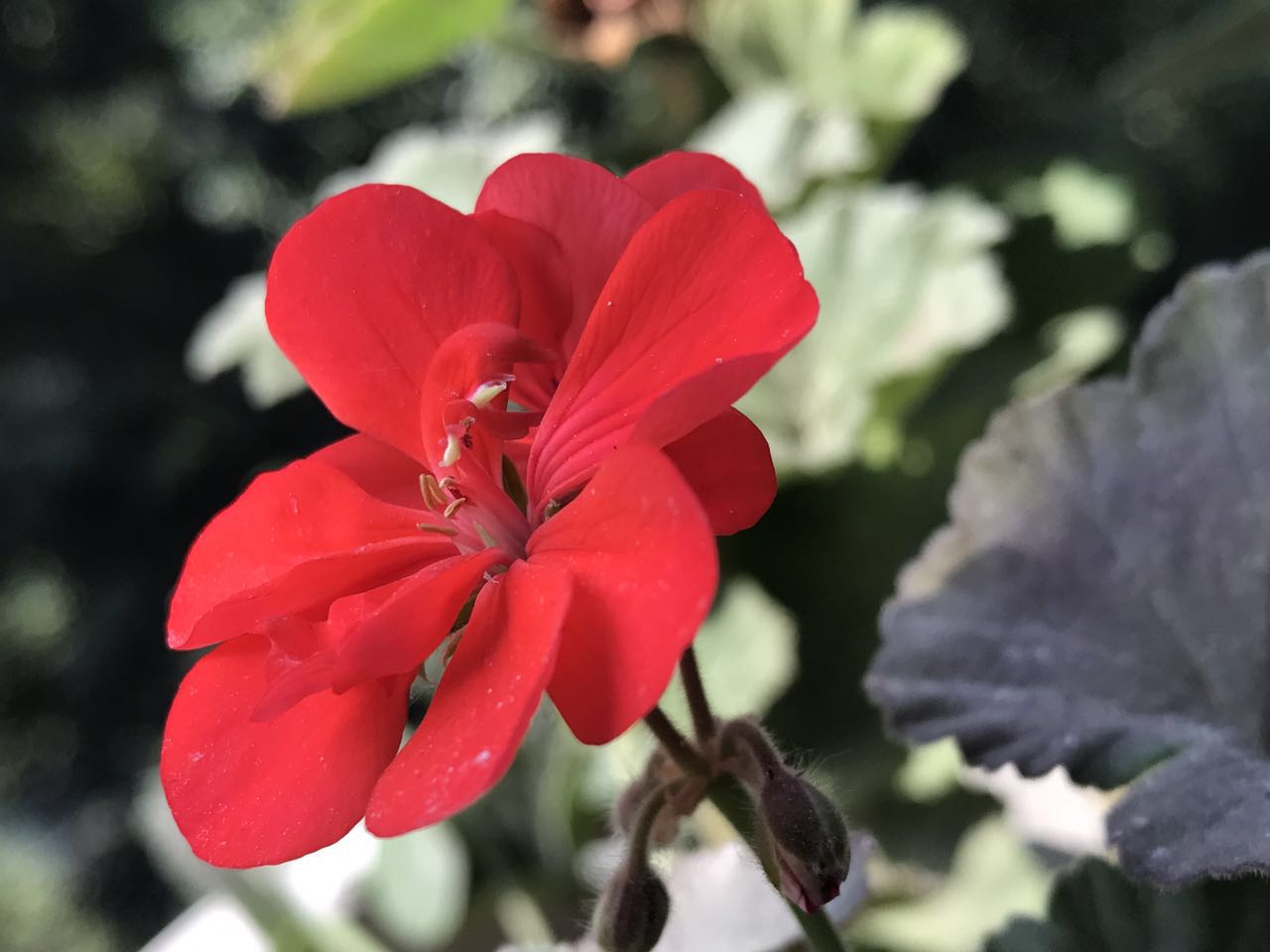 手拍世界（手机摄影交流平台）-群员作品集（第12期）