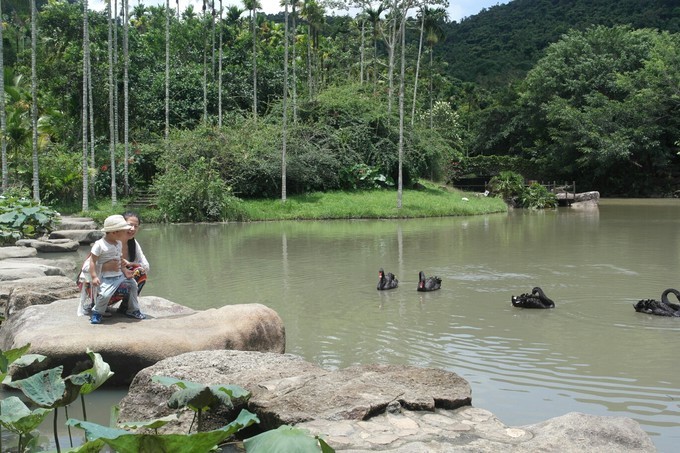 快乐的我们带着宝宝玩转三亚，亲子自驾游
