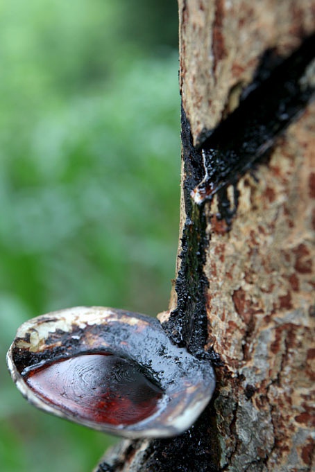 装修设计涂料,家居设计导读
