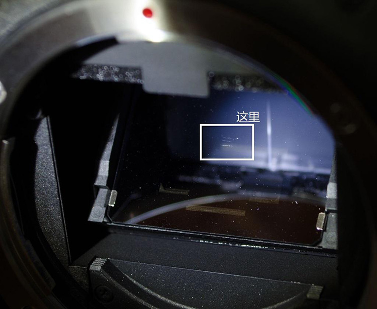 初学摄影机身和镜头哪个重要,初学者人像摄影常见的问题有哪些