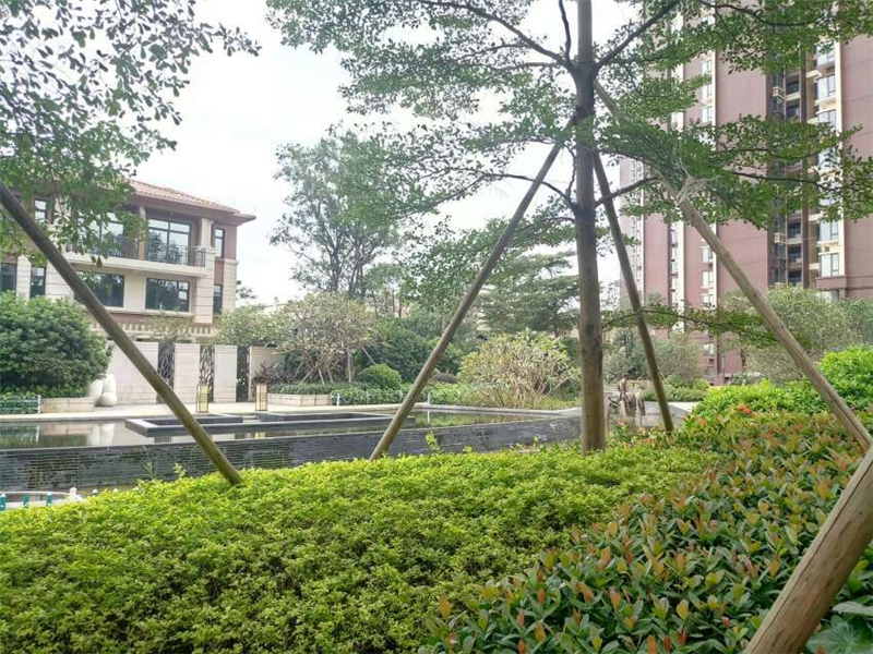 大岭山光大山湖城30多平米二手房,东莞光大山湖城三房