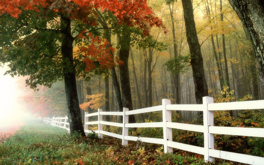 梅斯:托斯卡纳的郊野,有美妙时光