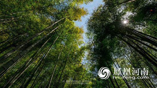 网络媒体文明旅游河南行走进尧山,网络媒体文明旅游