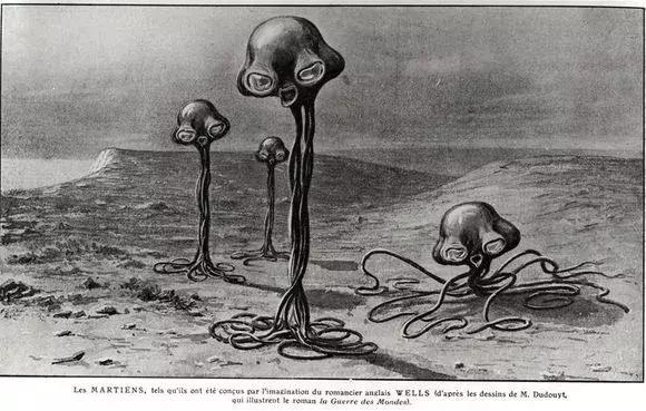 蔑视中心法则的章鱼,章鱼哥智商逆天