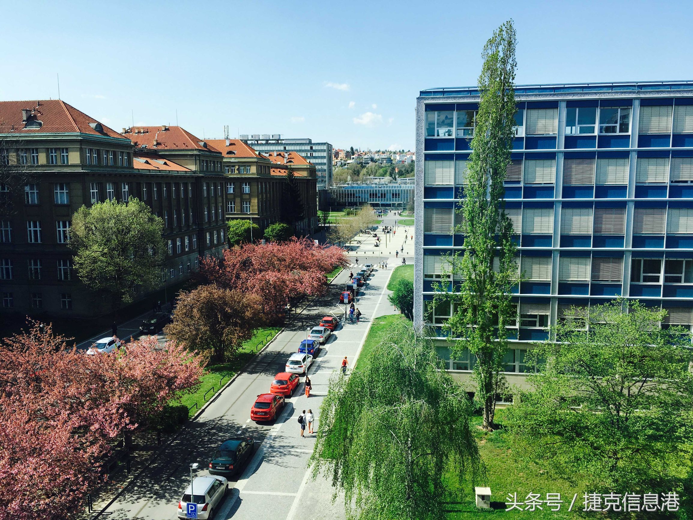 鎹峰厠鐞嗗伐澶у浠嬬粛,鎹峰厠鐞嗗伐澶у