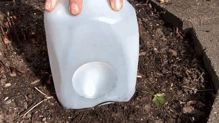 小瓶子手工制作小东西养花,省钱10大养花神器1个塑料瓶做出来