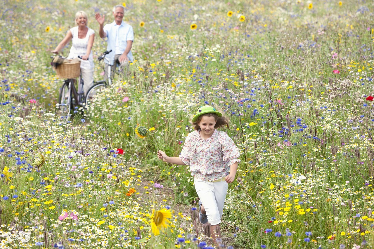 生活常识小窍门小手段解决大难题,生活小窍门大难题