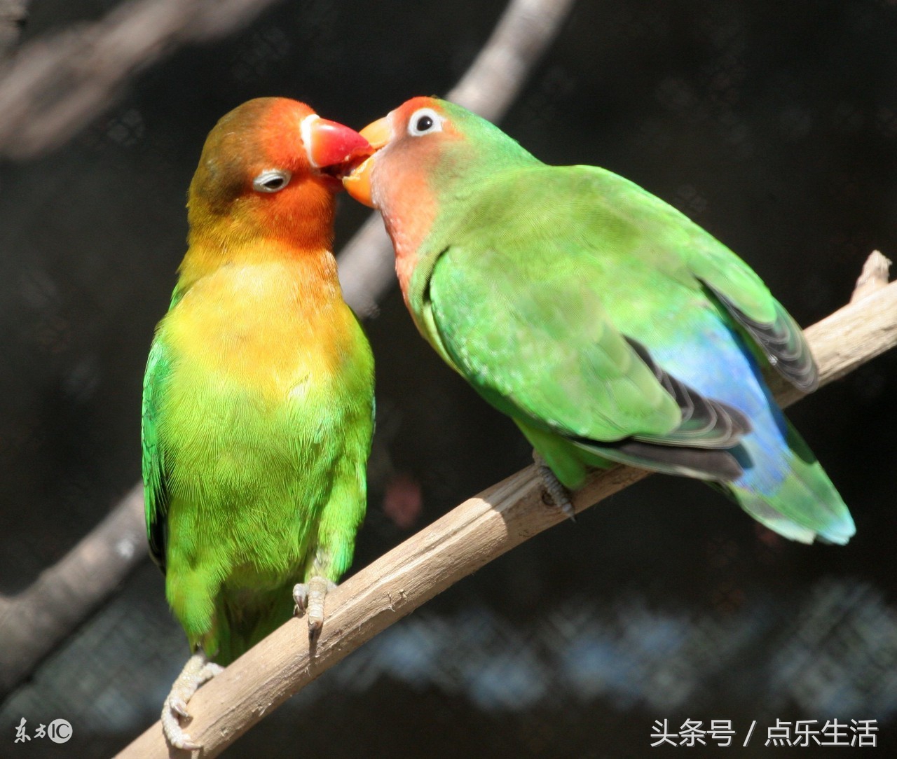 人生5福,人生5福是什么