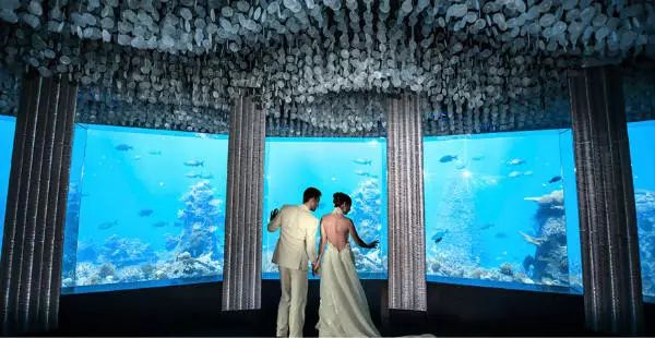 椹皵浠ｅか瀹夌撼濉旀媺绗涘彜宀涘害鍋囨潙,椹皵浠ｅか鐨勫害鍋囨潙